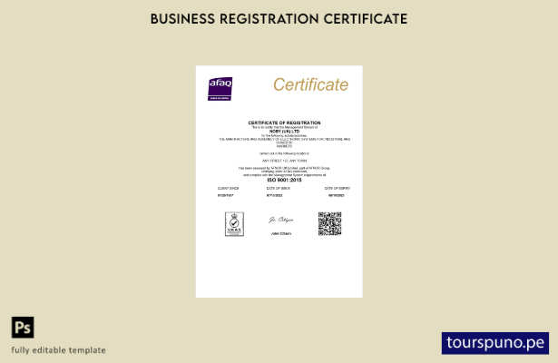 listo para imprimir Certificado de registro comercial de UK Noby Ltd Plantilla d